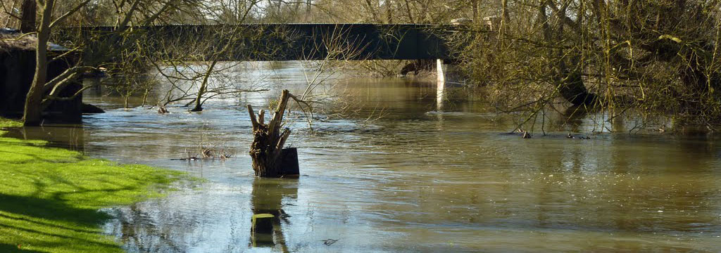 Riverside Man and Van home page slide 2